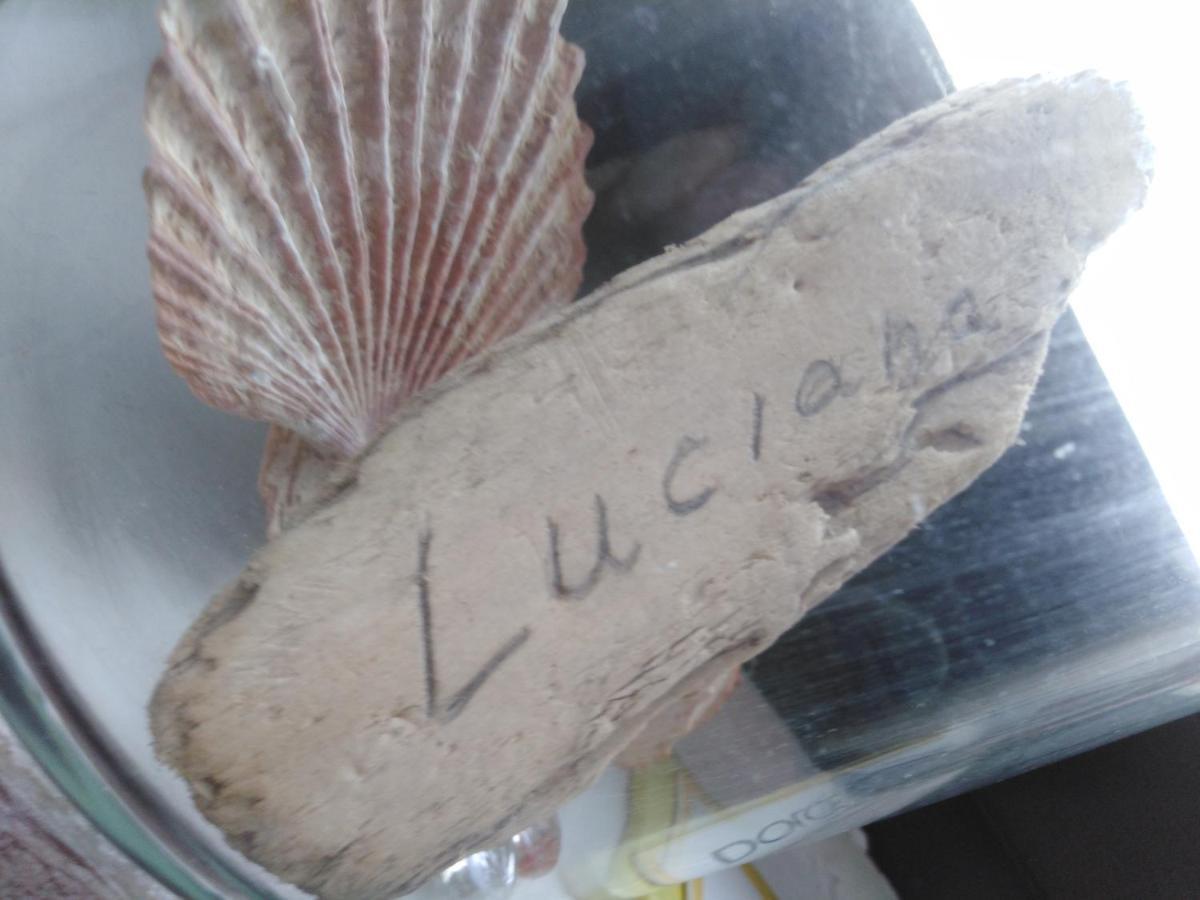 Appartamento Luciana Zara Esterno foto